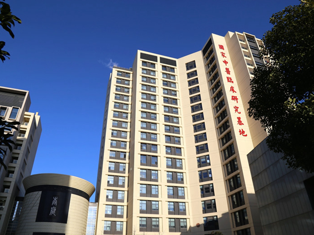 上海中醫(yī)藥大學附屬龍華醫(yī)院環(huán)境展示